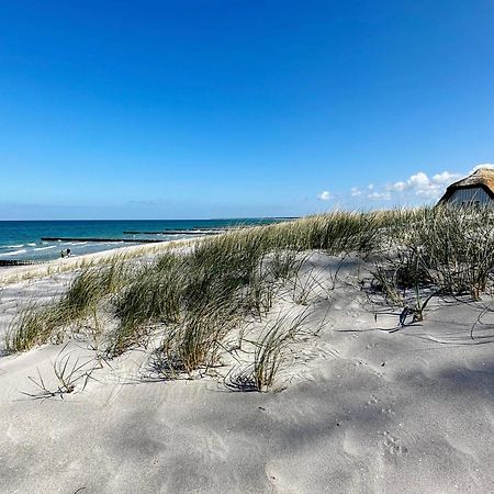 Haus Am Bodden 03 Lejlighed Ahrenshoop Eksteriør billede