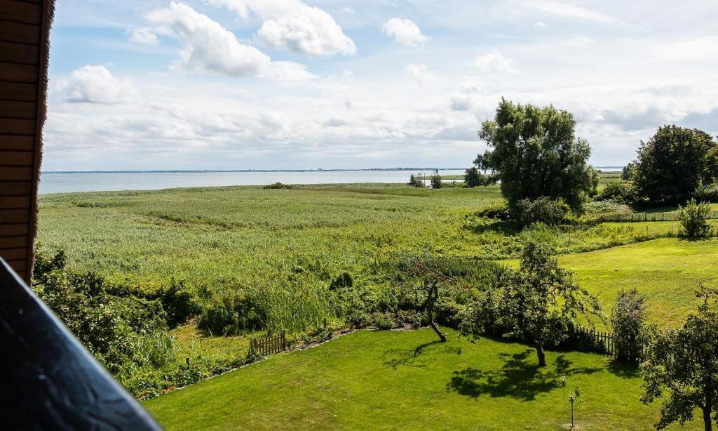 Haus Am Bodden 03 Lejlighed Ahrenshoop Eksteriør billede