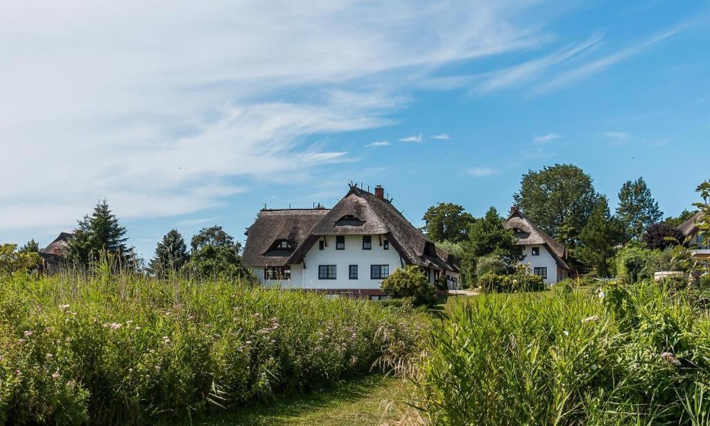Haus Am Bodden 03 Lejlighed Ahrenshoop Eksteriør billede