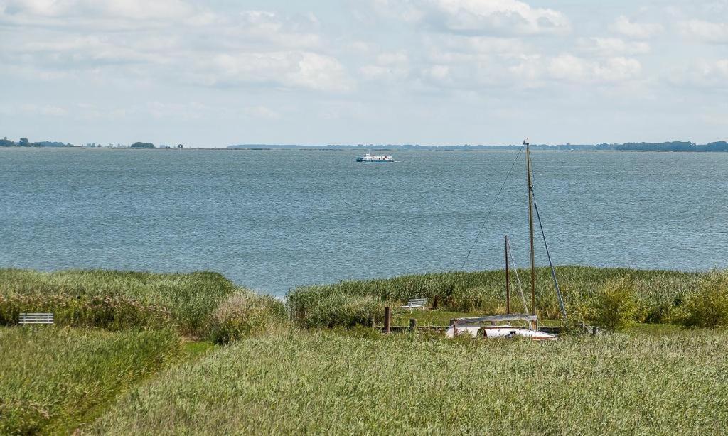 Haus Am Bodden 03 Lejlighed Ahrenshoop Eksteriør billede