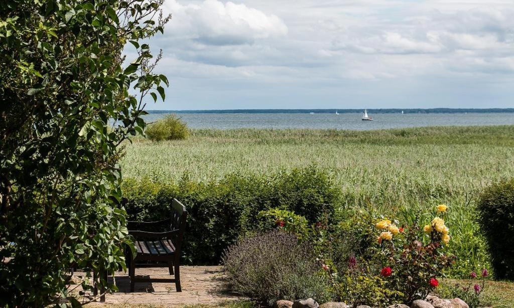 Haus Am Bodden 03 Lejlighed Ahrenshoop Eksteriør billede